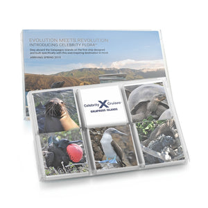 Set of 6 Chocolate Squares