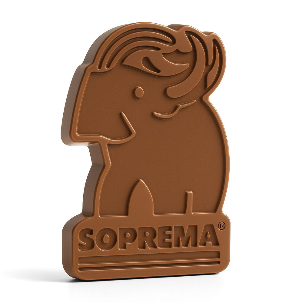 Custom Chocolate Shape in Gift Box
Success